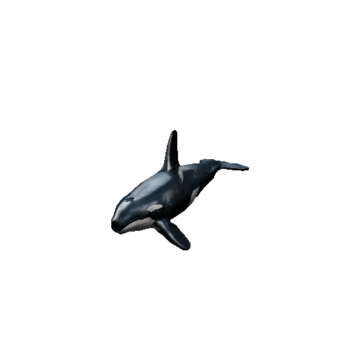 Orca