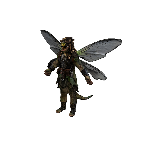 Dragonfly Male
