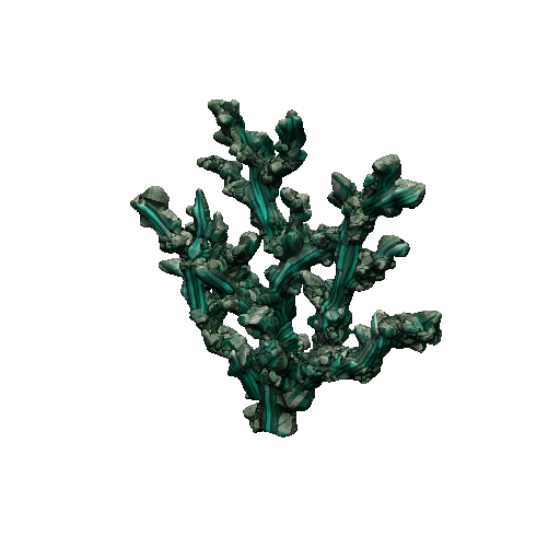 Malachite Vine