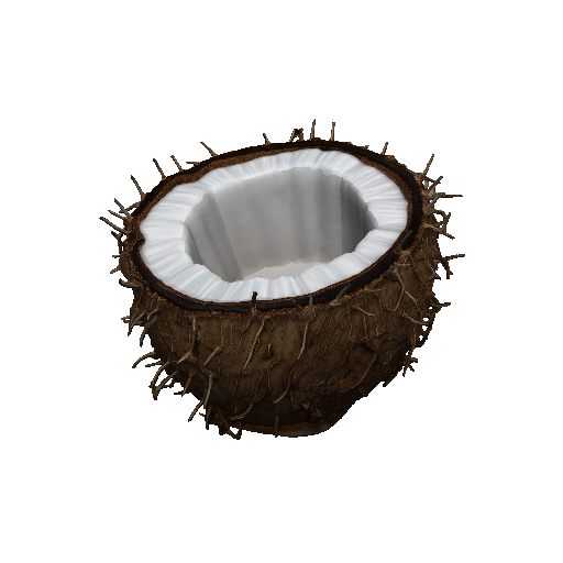 Coconut