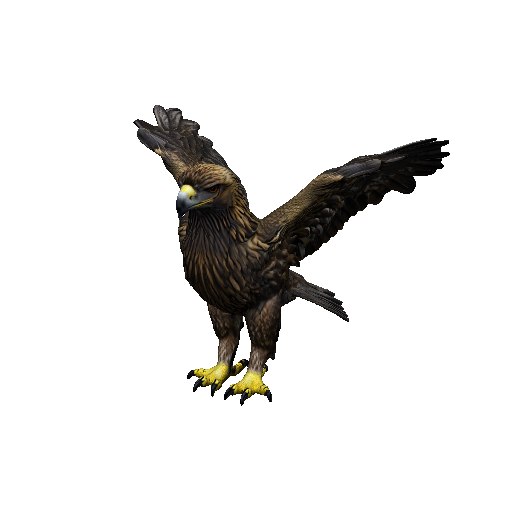 Eagle