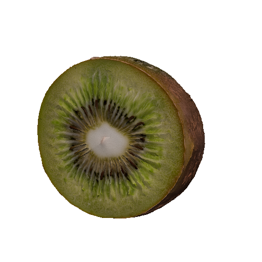 Kiwi fruit cut