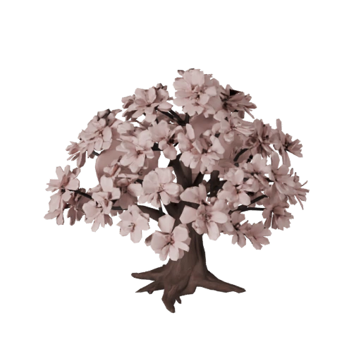Cherry Blossom