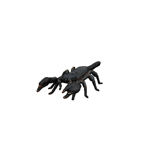 Scorpion
