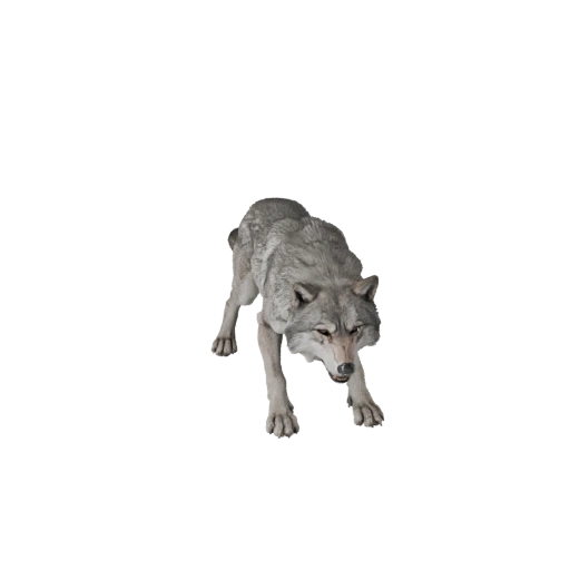 Dire Wolf — game-ready 3D model generated by the BitSoul3D AI Engine